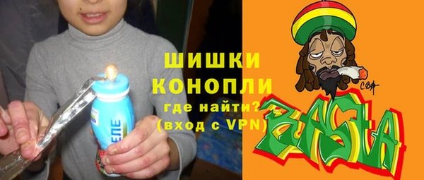 ГАЛЛЮЦИНОГЕННЫЕ ГРИБЫ Алзамай