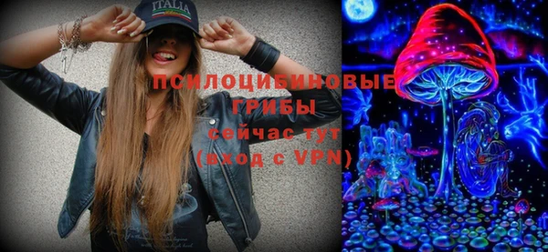 ГАЛЛЮЦИНОГЕННЫЕ ГРИБЫ Алзамай